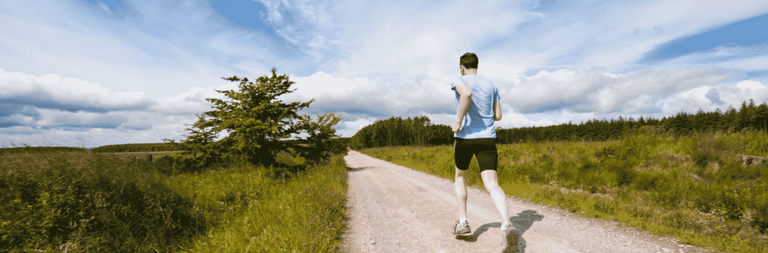 Exercise: A Balanced Recipe for Longevity