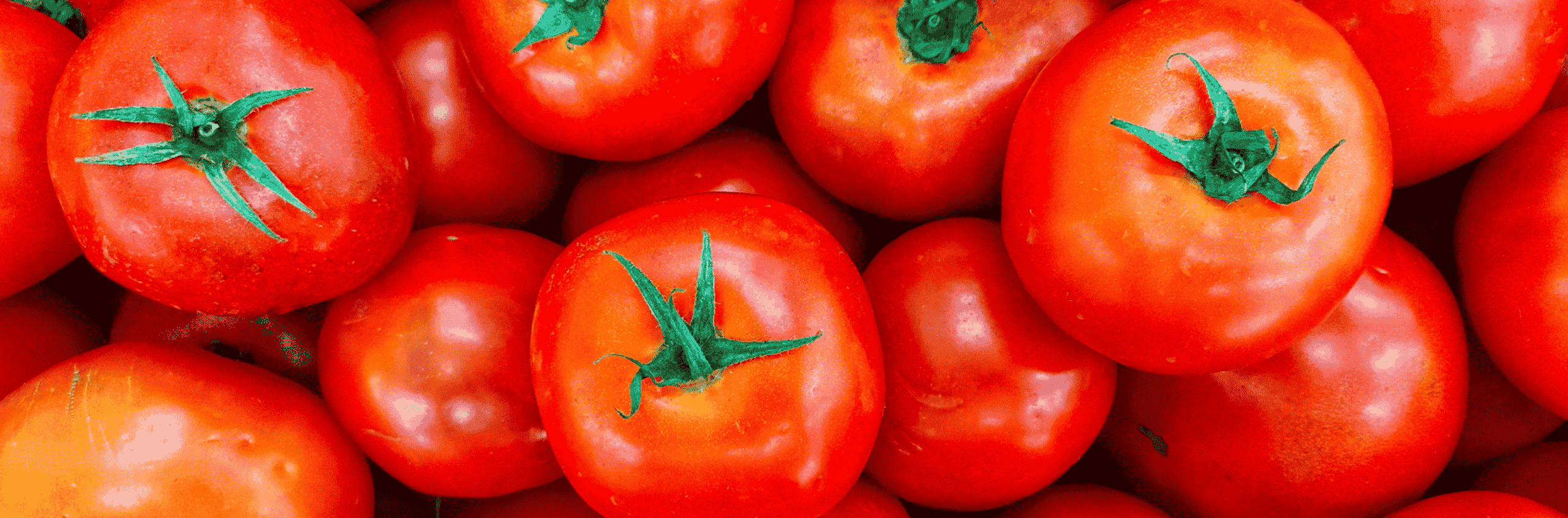 Tomatoes: A Natural Way To Improve Blood Pressure