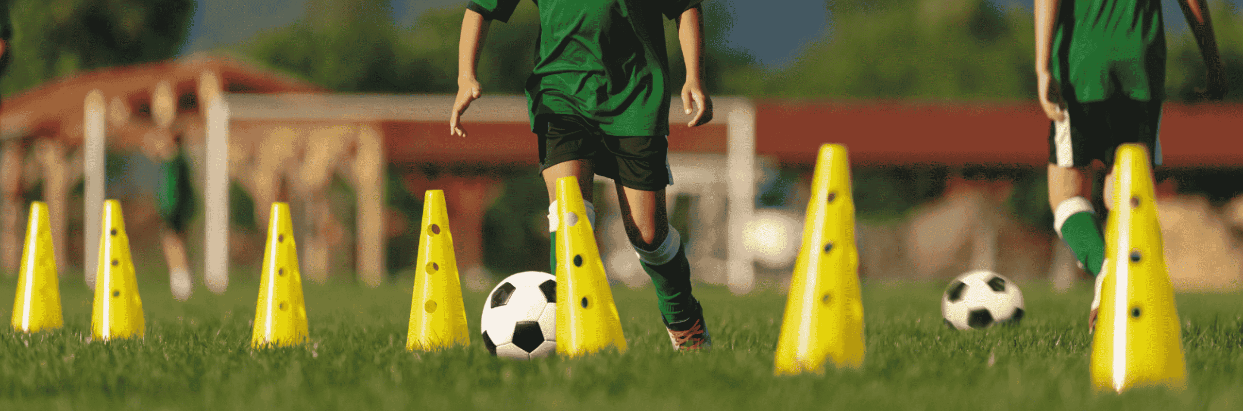 Harnessing the Power of Youth: A Long-term Look at Physical Activity and Heart Health