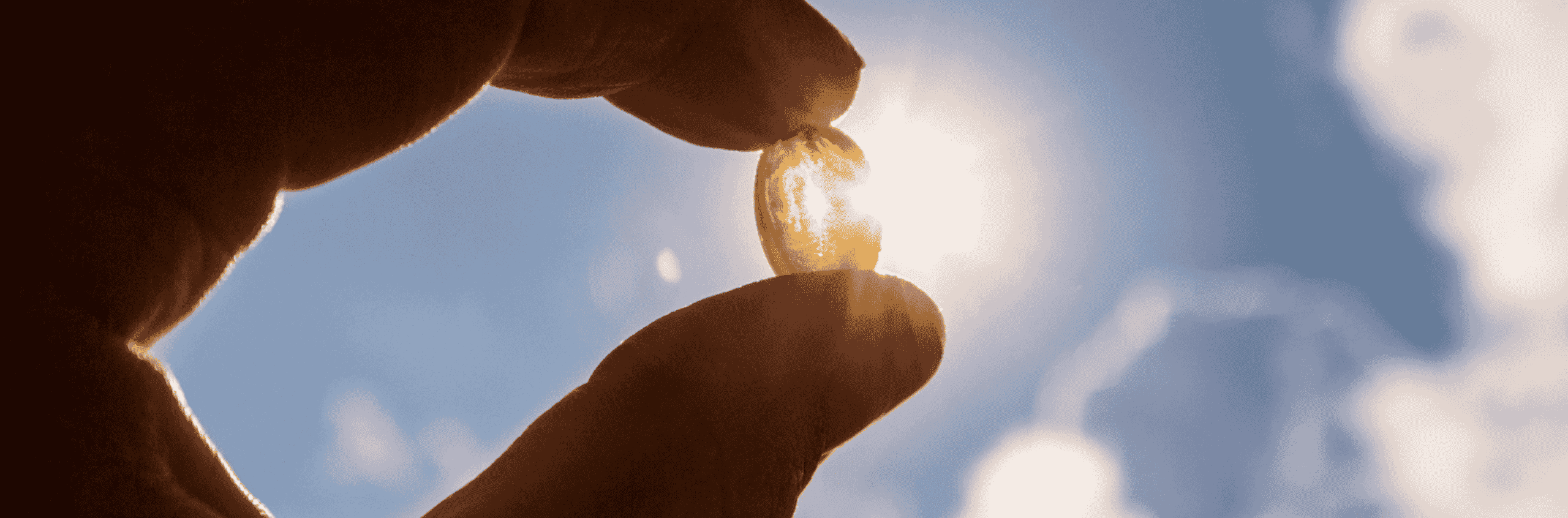 Vitamin D: A Ray of Prevention in Colorectal Cancer