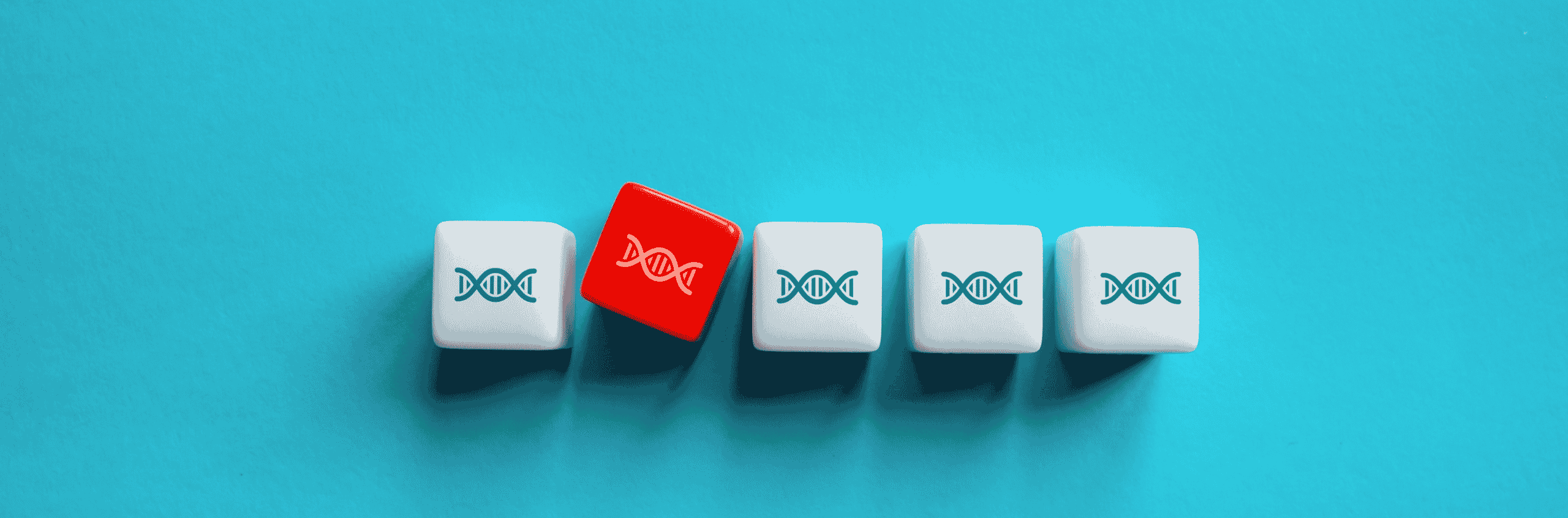 Are You Worried About Statin Side Effects? Why 47% of Patients Stop Their Medication