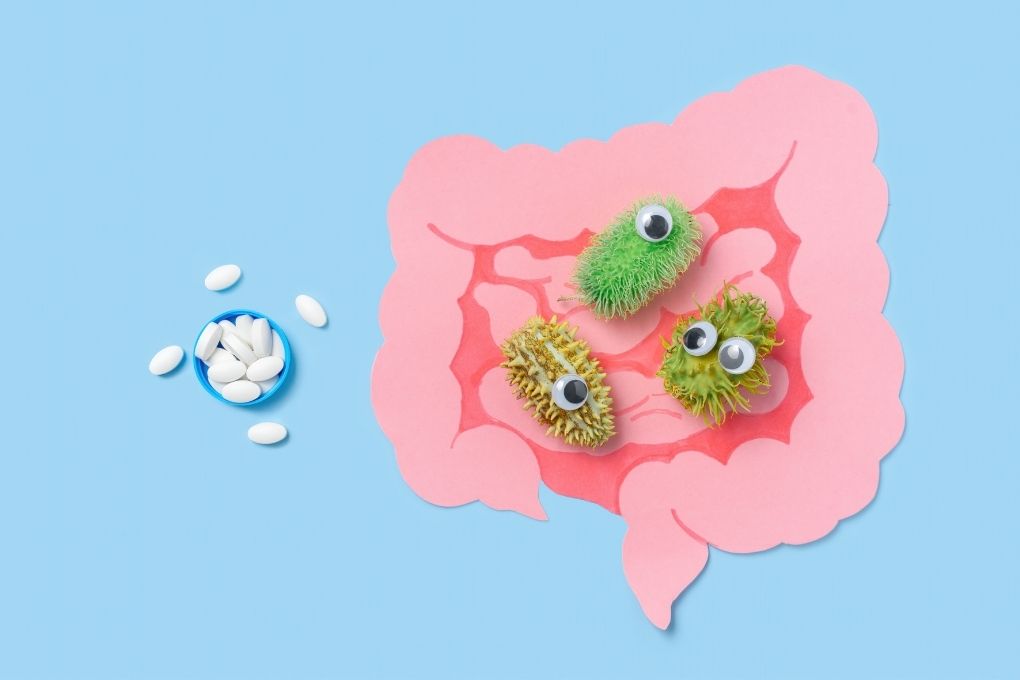 Colorful illustration of diverse bacteria in the gut microbiome