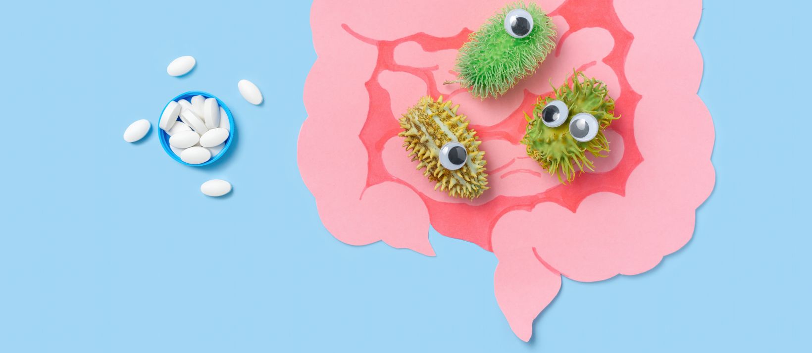 Colorful illustration of diverse bacteria in the gut microbiome